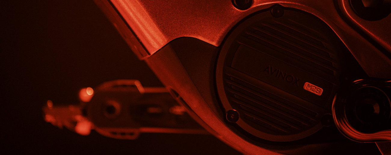 Avinox E-Bike Motor M2S