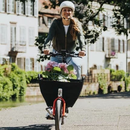 Bosch E-Bike Cargo Line für den Transport