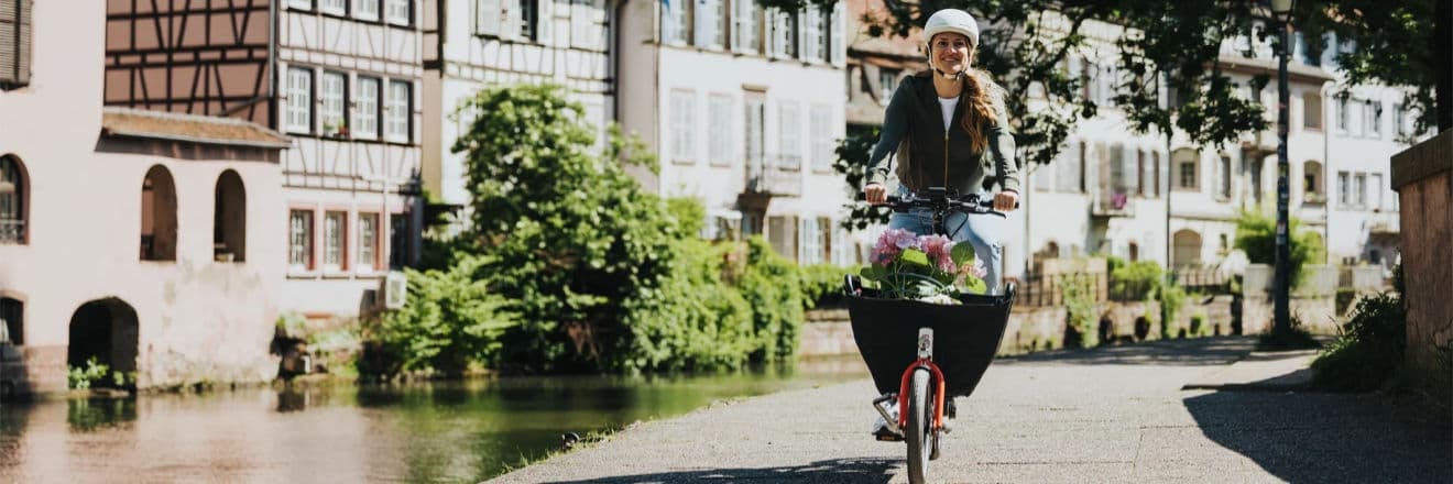Bosch E-Bike Cargo Line für den Transport
