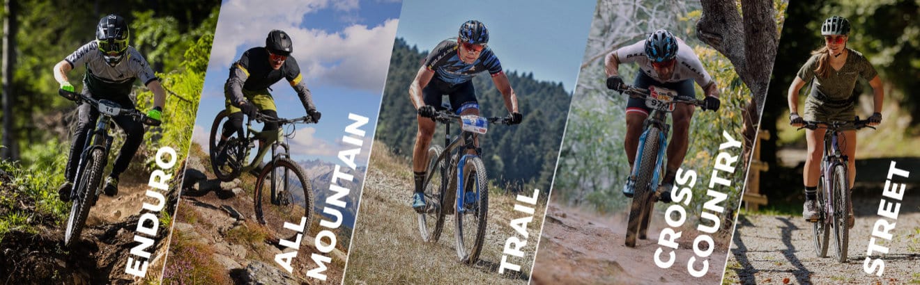 Bulls Mountainbike