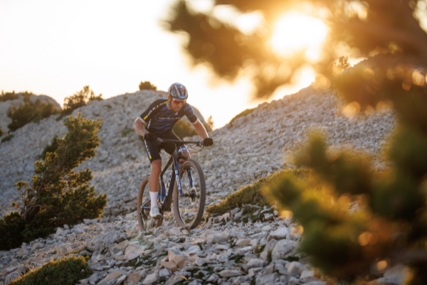 Bulls Bikes im Profisport etabliert