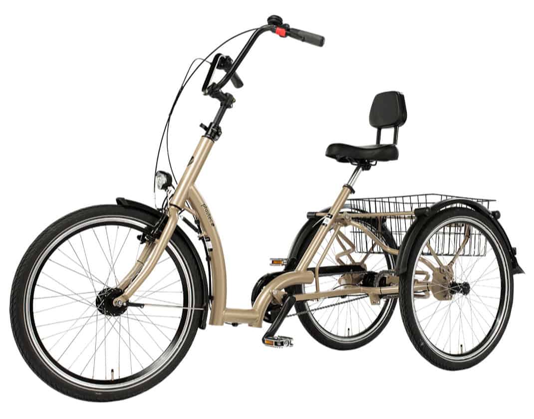 E-Dreirad von pfautec