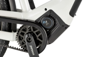 Pinion MGU 1.9 E-Bike Antrieb