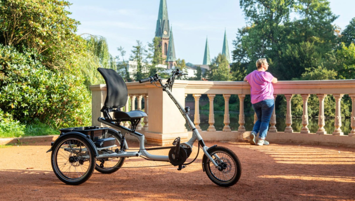 Sonstige E-Bikes