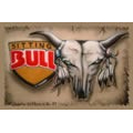 Sitting Bull