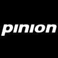 Pinion
