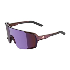 Alpina Lumin Fahrradbrille