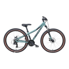 Bulls Feli Disc Mountainbike Jugendfahrrad 26" grün