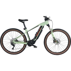 Bulls E-Stream EVO 1 E-Bike Mountainbike 29" grün