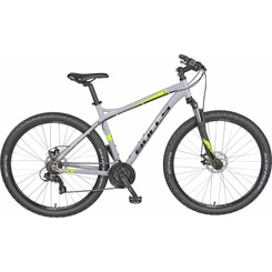 Bulls Raptor Disc Mountainbike Hardtail 29" grau