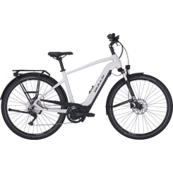 Bulls Lacuba EVO 10 E-Bike Trekkingrad Herren 28" grau