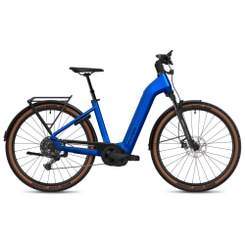Flyer Gotour 5.12 CX SUV E-Bike Trekkingrad Tiefeinsteiger 29" blau