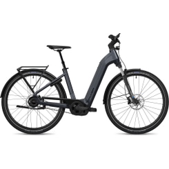 Flyer Gotour 5.43 CX E-Bike ATB Tiefeinsteiger 29" grau