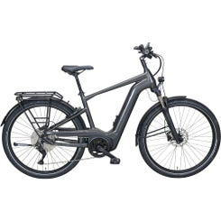 Pegasus Savino EVO 10 Lite E-Bike Trekkingrad Herren 28" silber