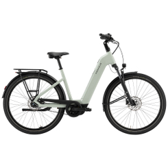 Pegasus Solero EVO 7F Belt E-Bike City Bike Tiefeinsteiger 28" grün