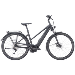 Pegasus Premio EVO 10 750 Lite E-Bike Trekkingrad Trapez 28" schwarz