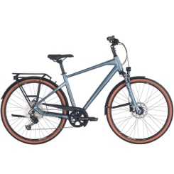 Pegasus Premio SL Disc 12 Trekkingrad Herren 28" grau