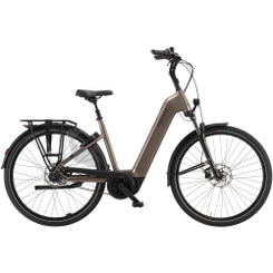 Pegasus Ravenna EVO 7F Belt E-Bike City Bike Tiefeinsteiger 28" grau
