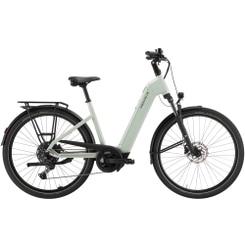 Pegasus Solero EVO 10 E-Bike Trekkingrad Tiefeinsteiger 28" grün