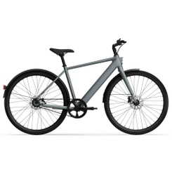 Tenways CGO 600 Pro E-Bike City Bike Herren 28" grau