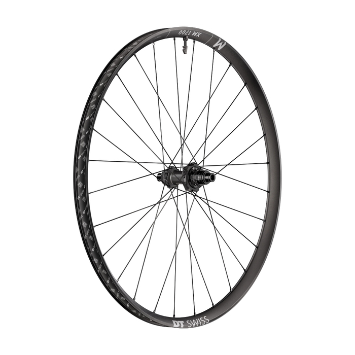 DT Swiss XM 1700 Spline 29" Hinterrad