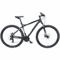 Bulls Raptor Disc Mountainbike Hardtail 29" schwarz