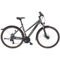 Bulls Racer Street Cross Crossbike Trapez 28" grau