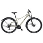 Bulls Racer Street Mountainbike ATB Hardtail grau L = 49 cm | 29"