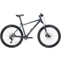 Bulls Copperhead 1 Mountainbike Hardtail 29" grau XXL