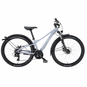 Bulls Feli Street Mountainbike ATB Hardtail grau XXS = 32 cm | 26"