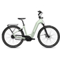 Flyer Gotour 5.43 E-Bike Cityrad Tiefeinsteiger 29" grün