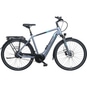 Pegasus Premio EVO 5R E-Bike City Bike Herren 28" silber