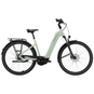 Pegasus Solero EVO 7F Belt E-Bike City Bike Tiefeinsteiger 28" grün