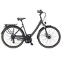 Pegasus Solero SL Disc LTD Trekkingrad Tiefeinsteiger 28" grün
