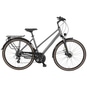 Pegasus Solero SL Disc LTD Trekkingrad Trapez 28" grün