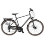 Pegasus Solero SL Disc LTD Trekkingrad Herren 28" grün