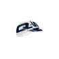 Q36.5 Big Logo Summer Cap