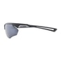 Alpina Nylos HR Fahrradbrille