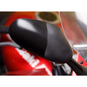 Dr. Wack S100 Motorrad-Farbauffrischer (300 ml)