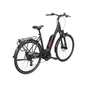 Dynamics Forte Ultra 508 E-Bike Trekking Tiefeinsteiger 28" schwarz