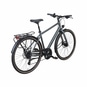 Dynamics Magic Road 24 Trekkingrad Herren 28" grau
