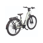 Flyer Upstreet 7.10 Comfort E-Bike Cityrad Tiefeinsteiger 29" grün