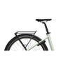 Flyer Gotour 5.43 E-Bike Cityrad Tiefeinsteiger 29" grün