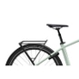 Flyer Gotour 7.10 ABS E-Bike Trekkingrad Herren 29" grün