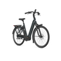 Gazelle Arroyo C5+ Elite RT Belt Komfort E-Bike City Bike Tiefeinsteiger 28" grau