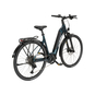 KTM Macina SX Carbon Lite E-Bike Trekkingrad Tiefeinsteiger 28" grün