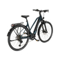 KTM Macina SX Carbon Lite E-Bike Trekkingrad Trapez 28" grün