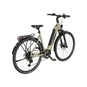 KTM Macina SX Lite E-Bike Trekkingrad Tiefeinsteiger 28" grün
