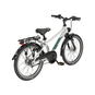 Pegasus Arcona 7 Alu Kinderfahrrad 20" grau