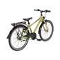 Pegasus Arcona 7 Alu Jugendfahrrad 24" grün